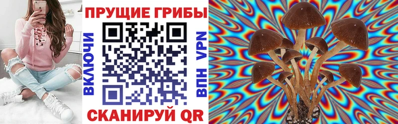 хочу наркоту  Темников  Псилоцибиновые грибы ЛСД 